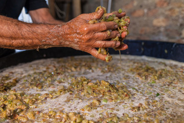 Farmer hands keep grape must