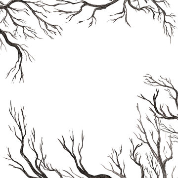 Halloween abstract background with tree branches