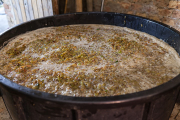 Grape harvest: white must in a winery