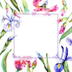 Wildflower iris flower frame in a watercolor style. Full name of the plant: blue iris. Aquarelle wild flower for background, texture, wrapper pattern, frame or border.