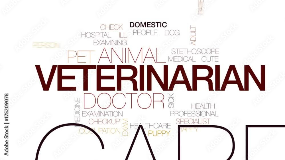 Wall mural Veterinarian animated word cloud, text design animation. Kinetic typography.