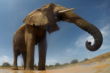 Fototapety na wymiar - Fototapeta24.pl