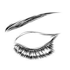 Beautiful woman closed  eye with long eyelashes Vector illustration