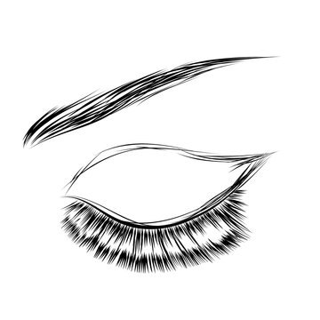 Beautiful woman closed  eye with long eyelashes Vector illustration