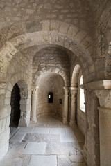 Romanesque Chapel of St. Peter in Montmajour  Abbey    near Arles, France