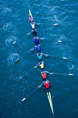 Rowers in Rainbow Colors - obrazy, fototapety, plakaty