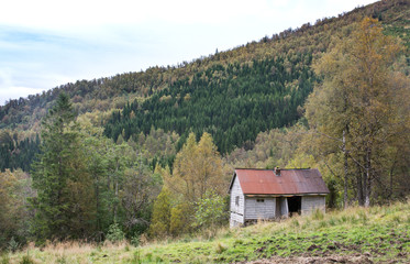 Ramshackle deserted house in the forest