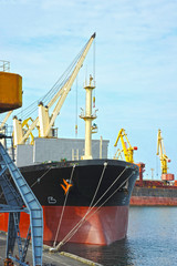 Fototapeta premium Bulk cargo ship under port crane