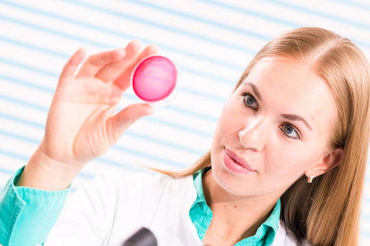 A nurse in the hospital's laboratory analyzes petri dishes