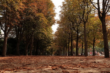 Chemin de la saison d'automne à Paris, France