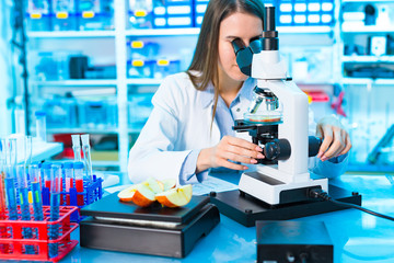 Checking fruit and vegetables for harmful elements. Laboratory for Inspection of Food Quality