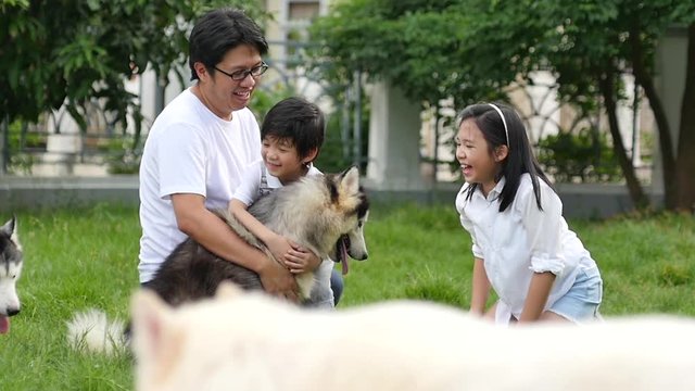 Happy Asian family playing with siberian husky dog in the garden slow motion 