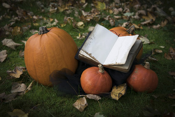 Autumn background for Halloween with pumpkin old book and censer with herbs on the ground