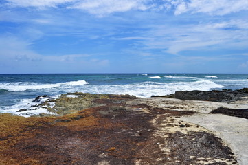 Rocky Coast on Eastern Side of Cozumel, Mexico