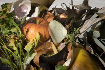 compost