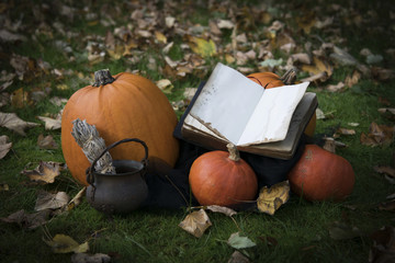 Autumn background for Halloween with pumpkin old book and censer with herbs on the ground