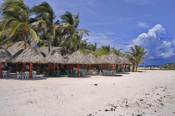 Sandy Beach in Cozumel, Mexico