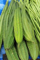 Bitter melon gourd for cooking in market