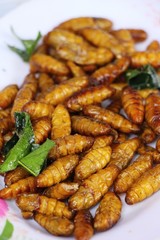Fried silk worms delicious in street food