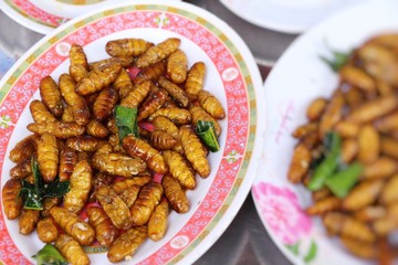 Fried silk worms delicious in street food