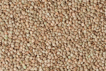Uncooked lentil background