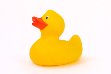 Rubber duck