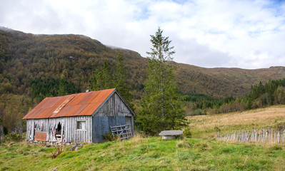 Ramshackle deserted house in the forest