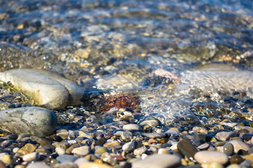 sea pebble beach with multicoloured stones, waves with foam