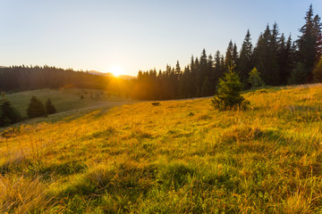 Carpathians mountain valley at the early morning