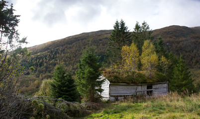 Ramshackle deserted house in the forest
