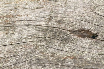 Old wooden beauty wall background and texture