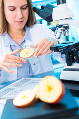 Fototapeta na wymiar Checking fruit and vegetables for harmful elements. Laboratory for Inspection of Food Quality