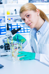 Fototapeta premium Experiment with genetically modified plants. Young woman laboratory assistant at the Laboratory of Plant Genetics GMO