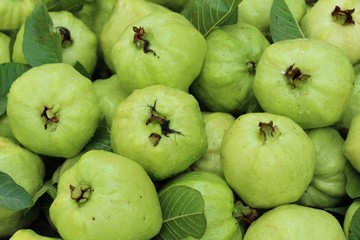 Guava fruit is delicious in the market