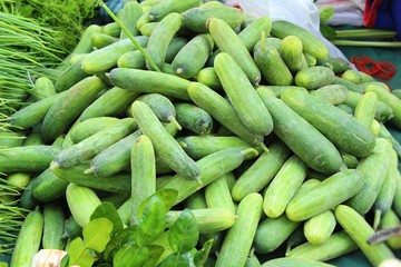 Fresh cucumbers for cooking in the market