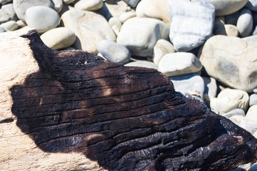 driftwood, washed up by the sea on a pebble beach