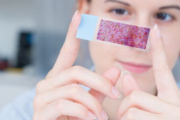 Nanotechnology coating for glass