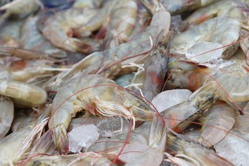 Fresh shrimp in the market