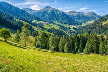 view of beautiful valley d'Ultimo (Ultental) in South Tyrol, Trentino Alto Adige, Italy