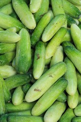Fresh cucumbers for cooking in the market