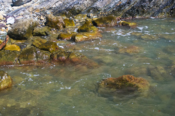 rocky sea shore with with seaweed, waves with foam