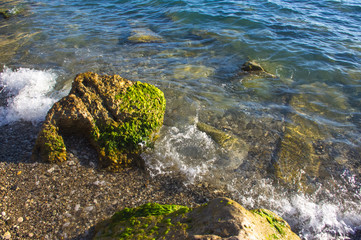 rocky sea shore with with seaweed, waves with foam