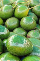 Fresh green avocado is delicious in market
