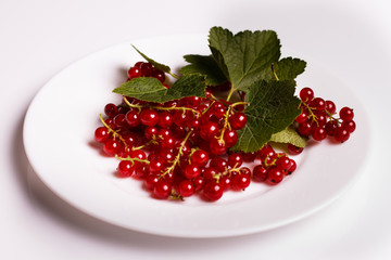 fresh red currants and jam on a white background