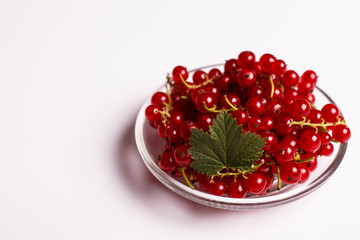 fresh red currants and jam on a white background