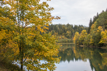 Landschaft im Herbst