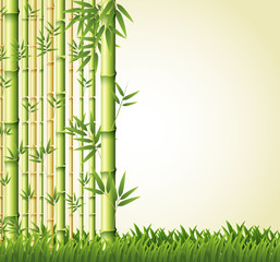 Background design with bamboo forest