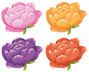 Four different colors of flowers