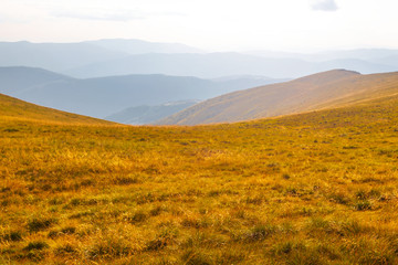 grass mountain plateau in a blue mist