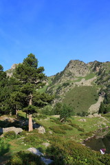 Fototapeta na wymiar mountain landscape in Pyrenees. Ariege in Occitanie. South of France 